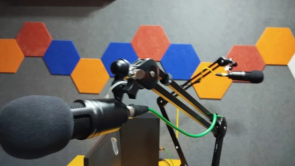 Close-up of a professional studio microphone on a boom arm with acoustic panels