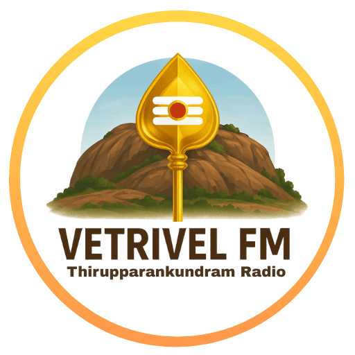 TN VIBE FM logo